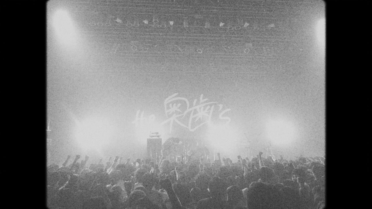 the奥歯's - トラッシュシャワー Official Live Music Video