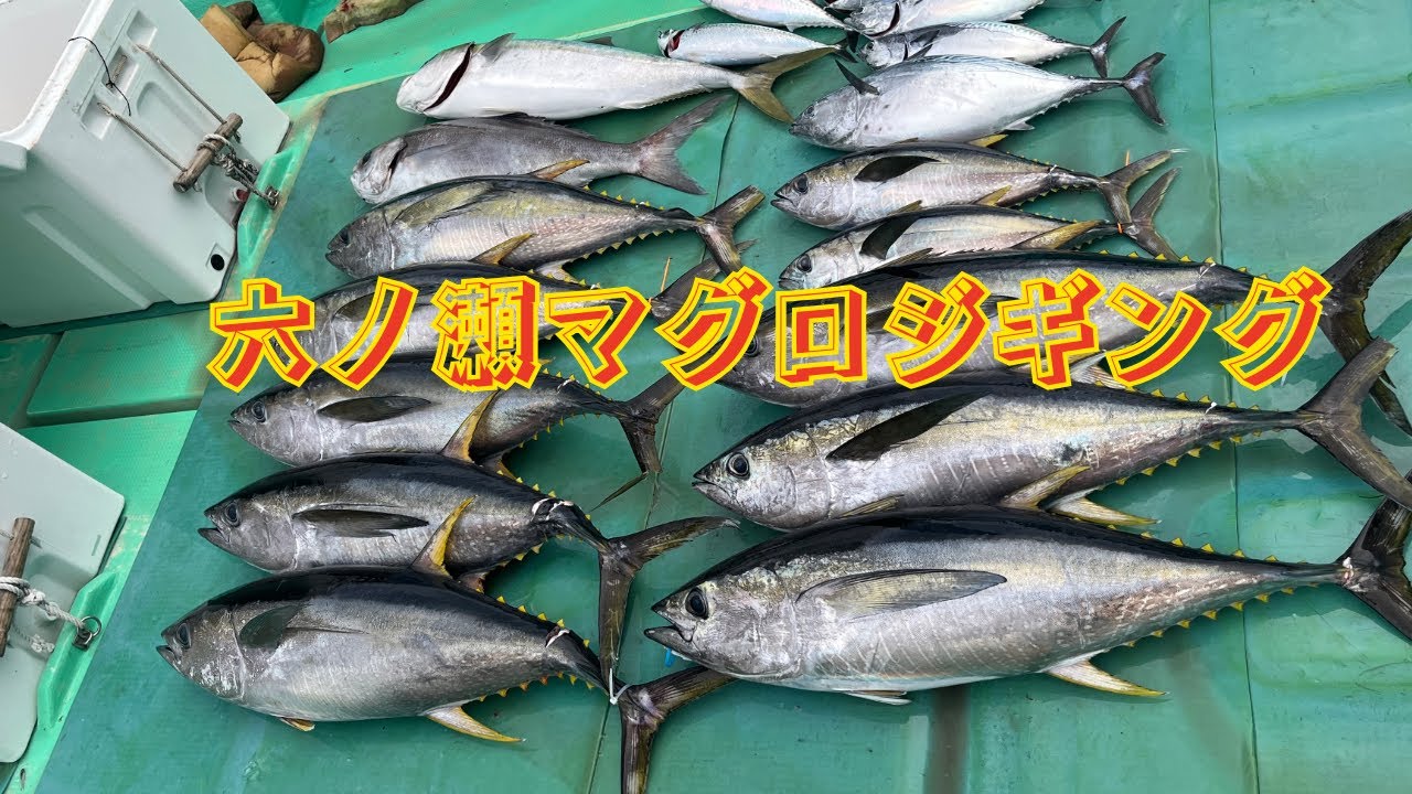今日はマグロジギングに行って来ましたよ２月１４日