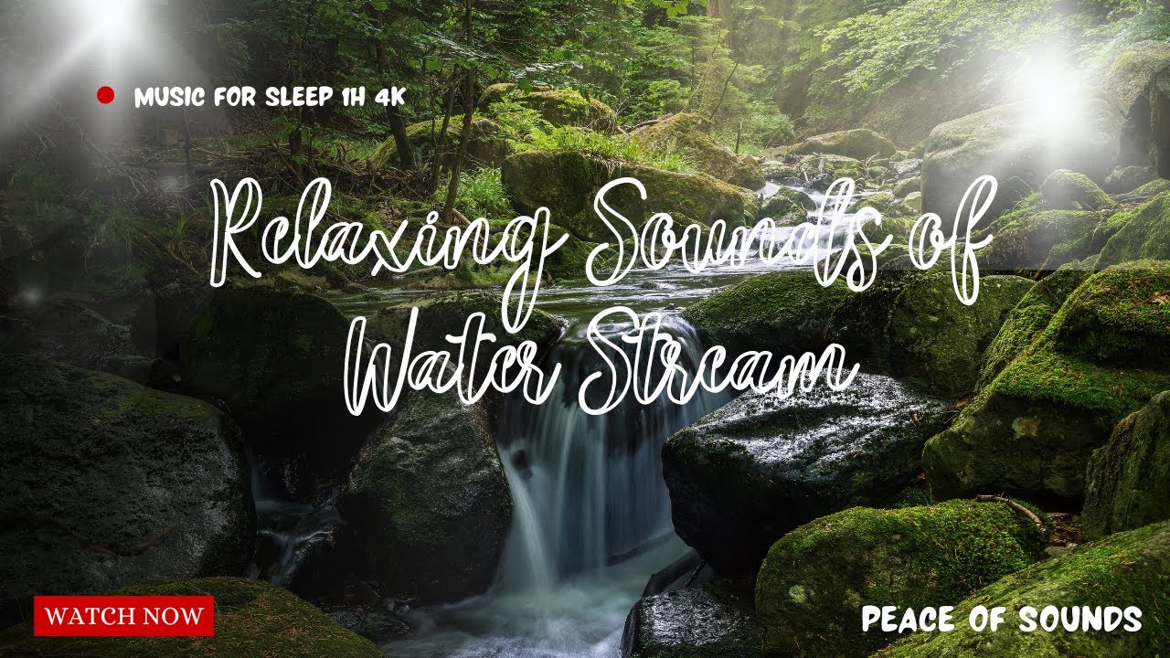 1H Forest stream water sounds with bird singing for sleeping, Stress Relief Music Calm Music