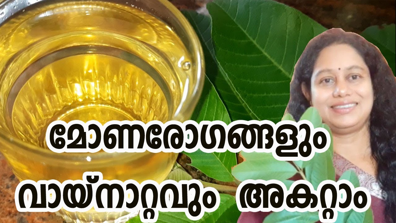 1 രൂപ ചിലവില്ലാതെ മൗത്ത് വാഷ് വീട്ടിൽ ഉണ്ടാക്കാം Homemade Mouth Wash DIY