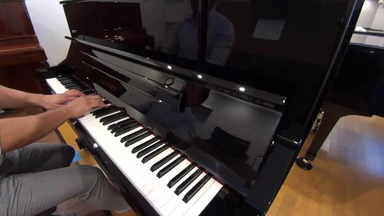 YAMAHA YU10　【売約済】　2006年製