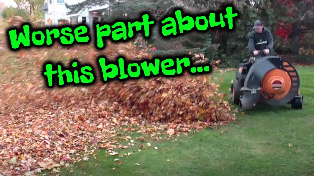 SCAG Windstorm BLOWING leaves FALL CLEANUP