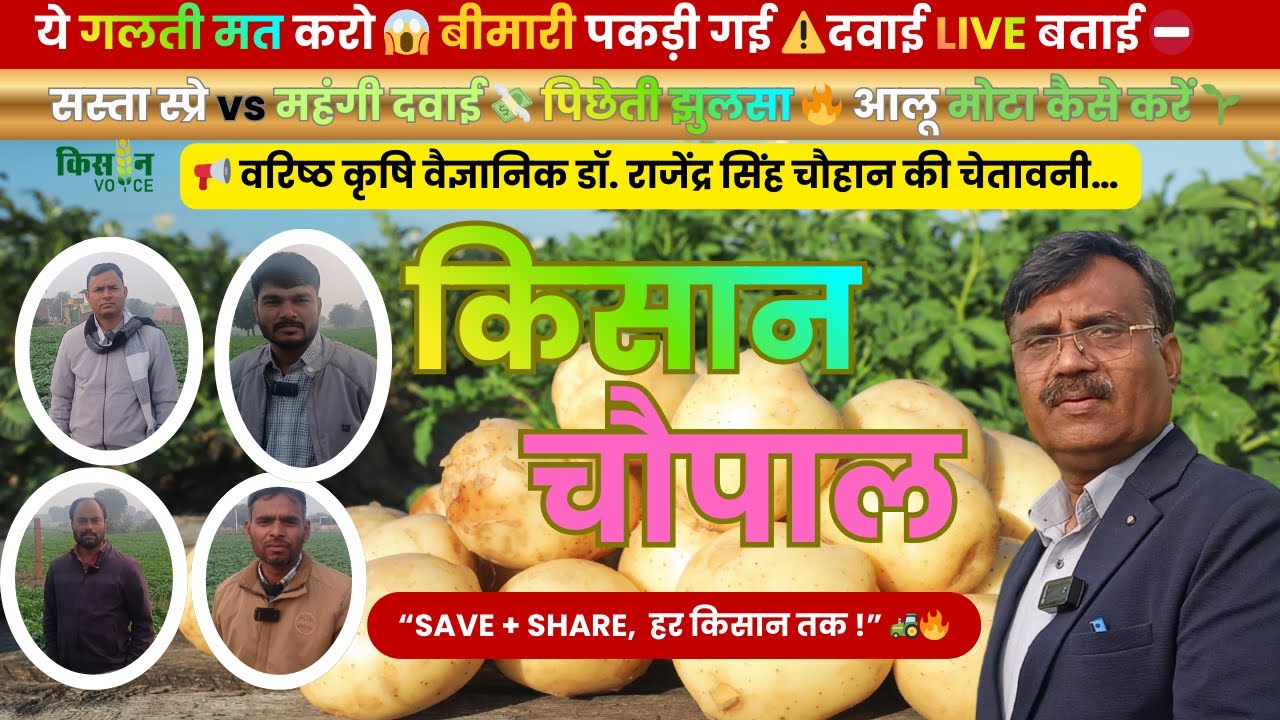 किसान चौपाल | किसानों ने बताई आलू की बीमारी 😱 | कृषि वैज्ञानिक बताए जादुई कॉम्बो स्प्रे
