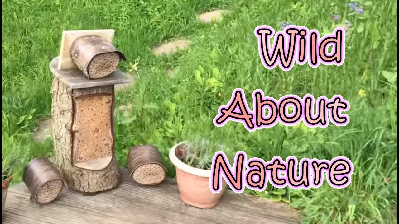 Bug Hotels! Which Habitat Design Works Best For Bees & Insects?
