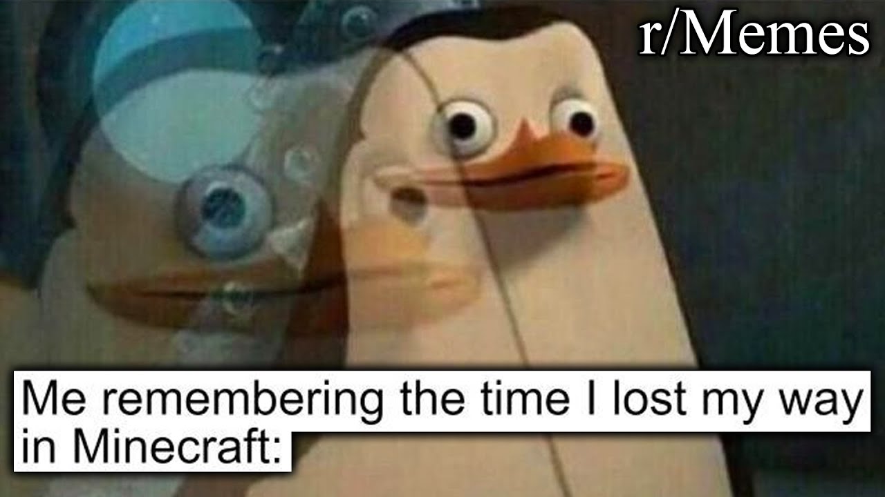 r/Memes | the pain