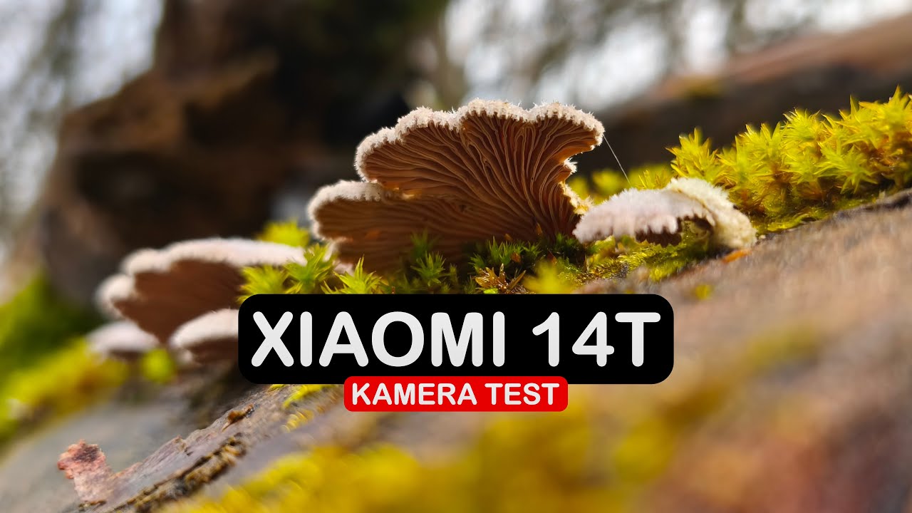 Xiaomi 14T Kamera Test