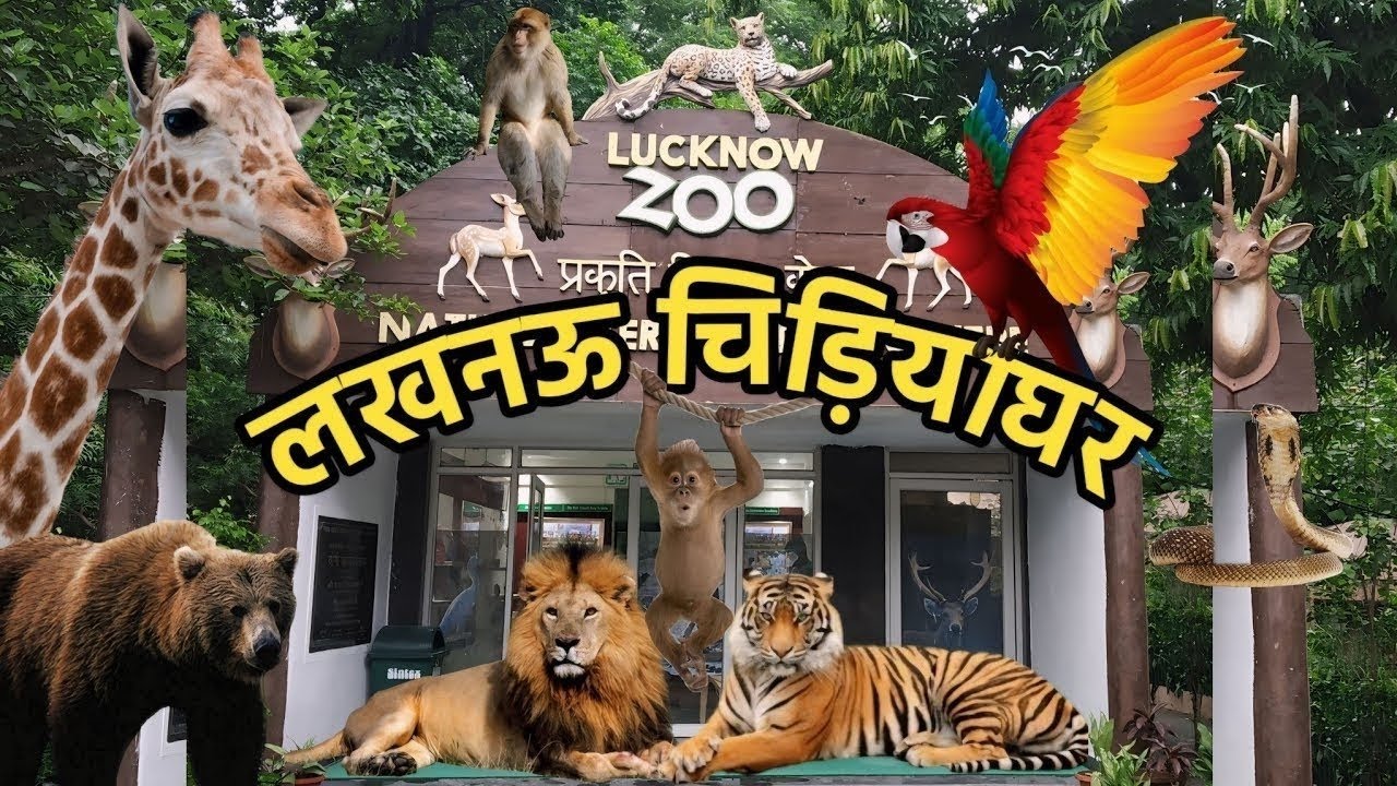 Lucknow Chidiyaghar | लखनऊ चिड़ियाघर | Lucknow Zoo | Lucknow Zoological Park Full Tour 