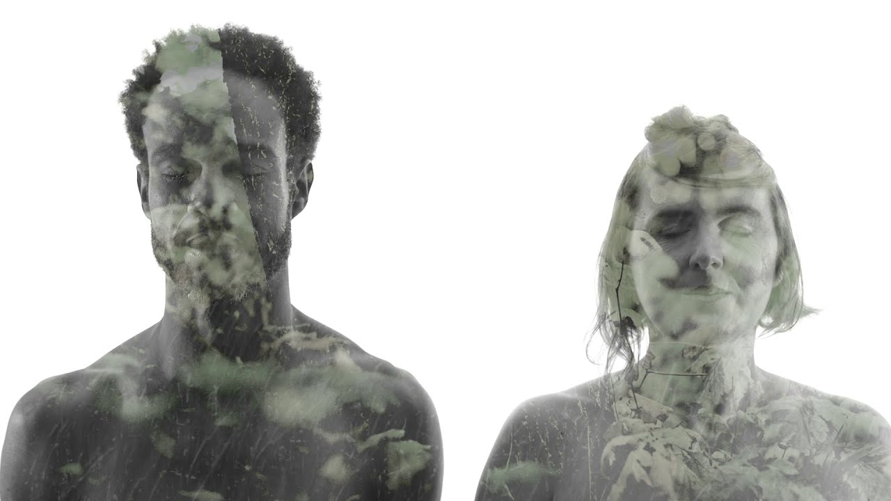 DAISIESFIELDS - TWINS - (clip Officiel)
