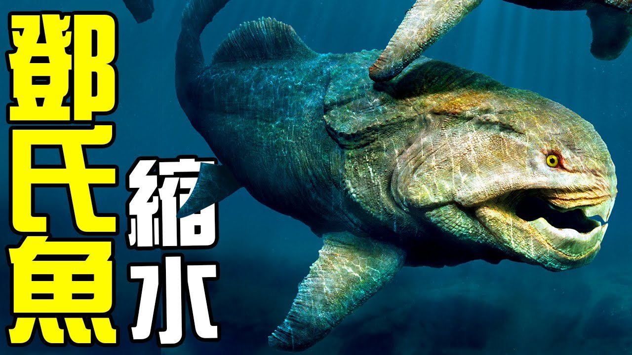 遠古海洋霸主鄧氏魚體型縮水，中加馬門溪龍跌落神壇！馬門溪龍頂著15米長的脖子到底是怎麼運動的？丨朝化析拾14丨黑毛羊駝