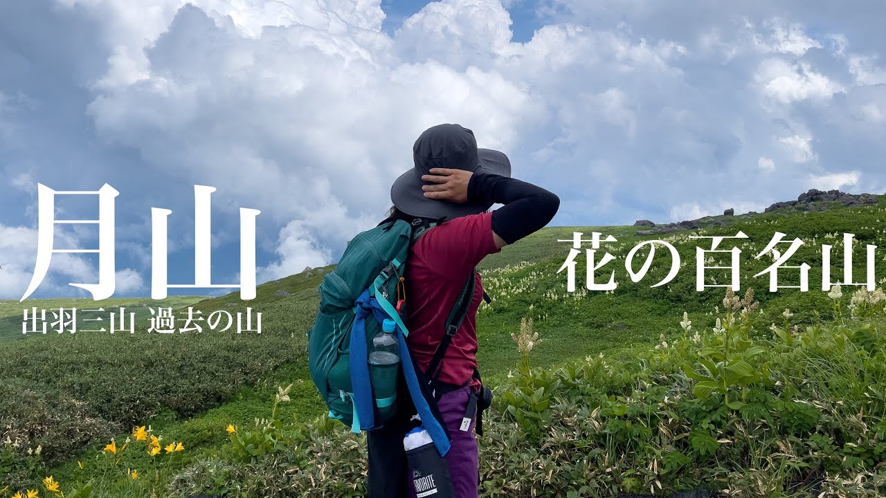 【登山】月山 多くの花が咲く7月 花の百名山
