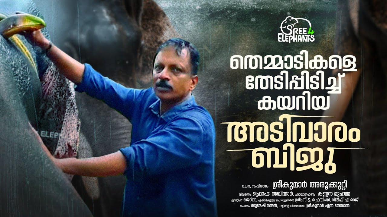 ഫ്യൂറഡാൻ കഴിച്ച് ആത്മഹത്യ ചെയ്ത ആന..? മദം പൊട്ടി നിൽക്കുന്ന ആനയെ എഴുന്നെള്ളിക്കുന്ന ആനക്കാരി.!