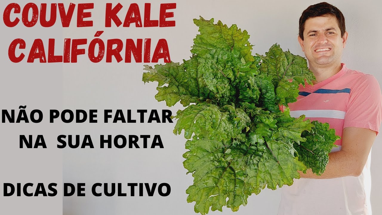 COUVE KALE CALIFORNIA: DICAS DE CULTIVO E COMO FAZER ALGUMAS OPÇÕES DE RECEITAS MARAVILHOSAS (Ep109)