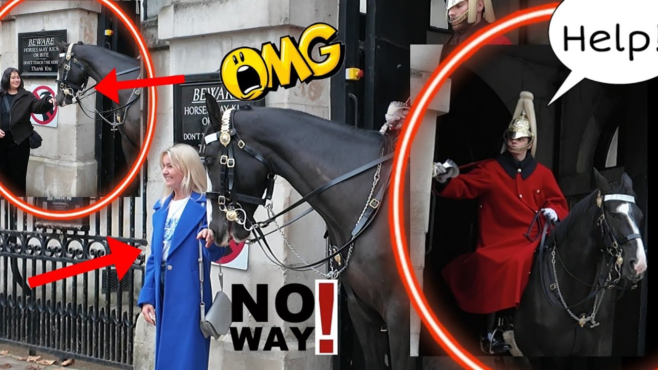 King's Guard immediately PRESSED the HELP button as two lady keeps touching the Horse!