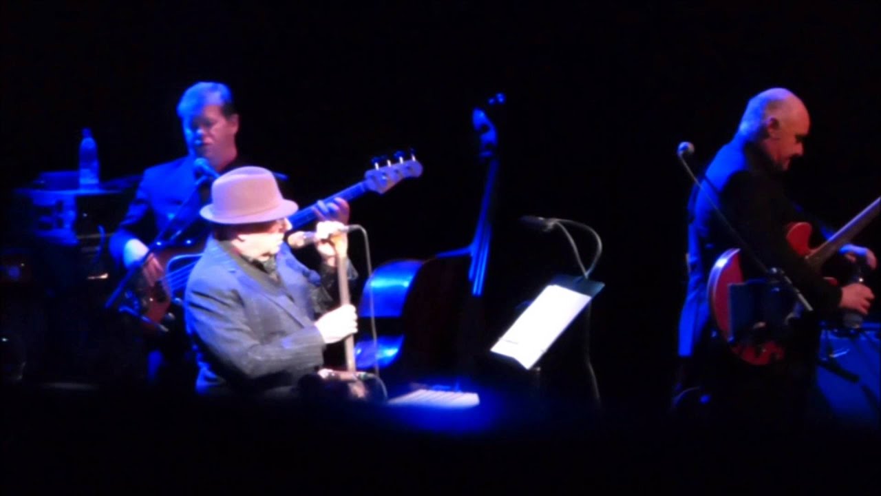 Van Morrison, Enlightenment and Carrying a Torch, Copenhagen 10 March 2016