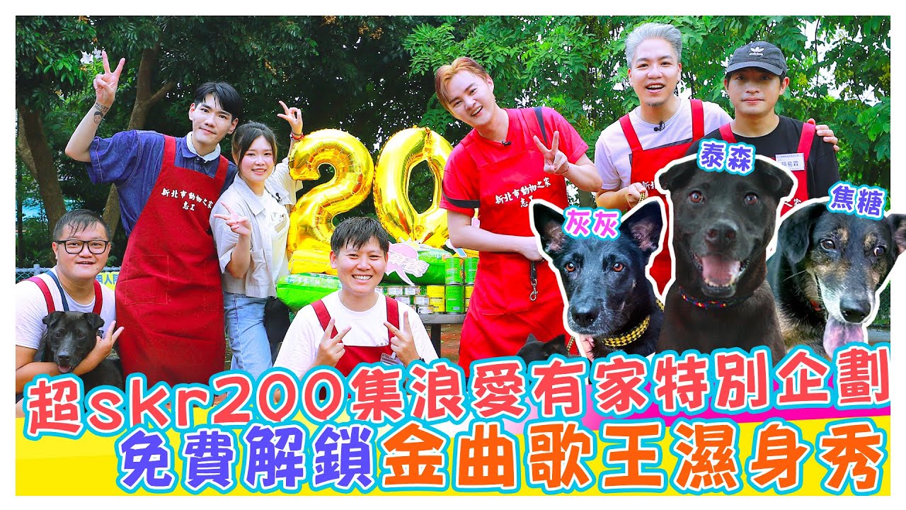 心已融化!! 動物之家一日志工特別企劃  免費解鎖金曲歌王許富凱濕身秀【娛樂超skr】#許富凱 #阿甘 #小鹿 #板橋動物之家 #超skr200集