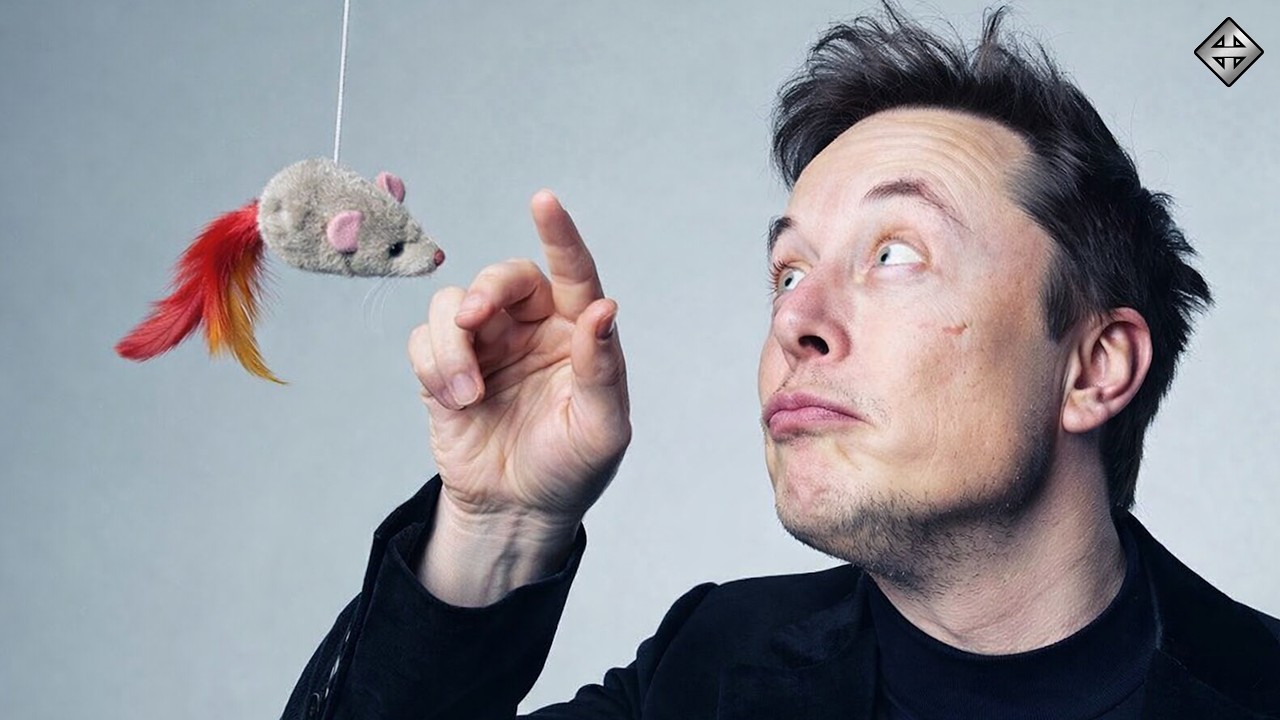 Stoopid Smart | Tara Devlin & Hal expose the grifter twits & dimwits masquerading as MAGA's geniuses