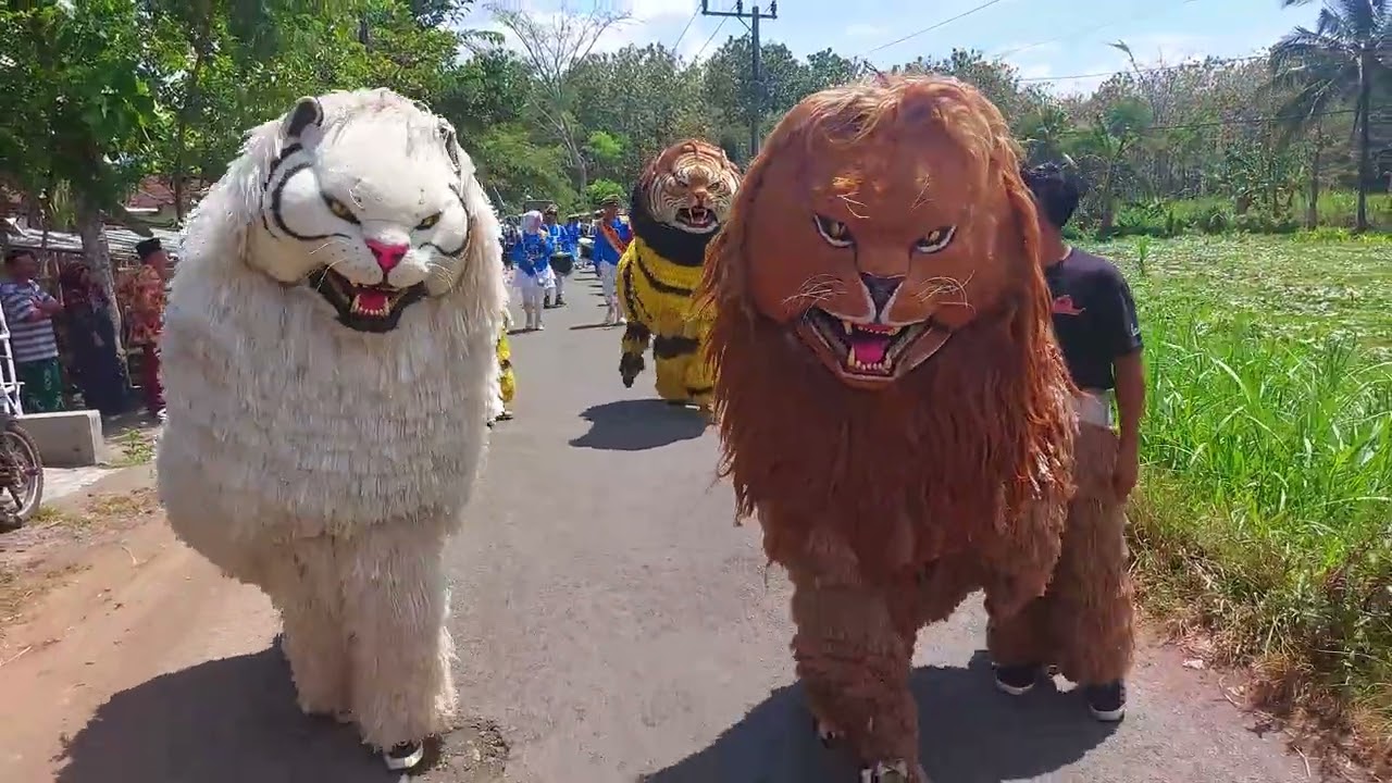 KIRAB CAN MACANAN DAN DRUMBAND SINGO MANGGALA DI PINANG PAHIT TEGALJATI BONDOWOSO PART1