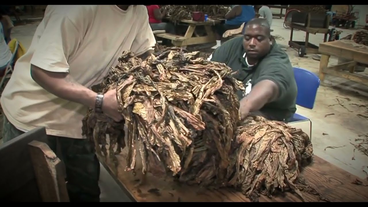 What are cigars made of? The anatomy of Nemiroff cigars