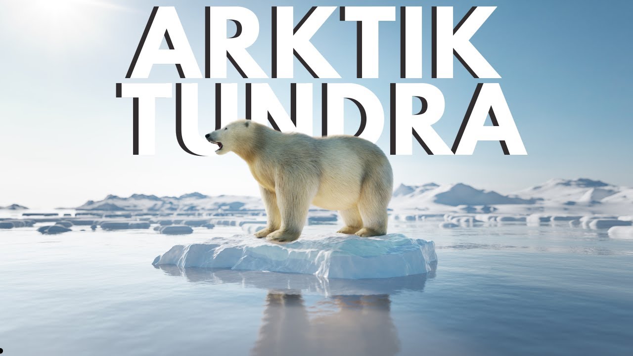 KIŞ HAYVANLARININ ARKTİK TUNDRA'DA HAYATTA KALMA M&Uuml;CADELELERİ - 4K Hayvan Belgeseli
