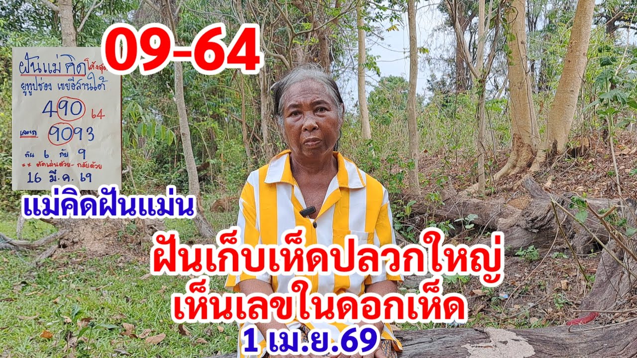 09-64 แม่คิดฝันแม่น ฝันเก็บเห็ดปลวกใหญ่ เห็นเลขในดอกเห็ด 1 เม.ย.69