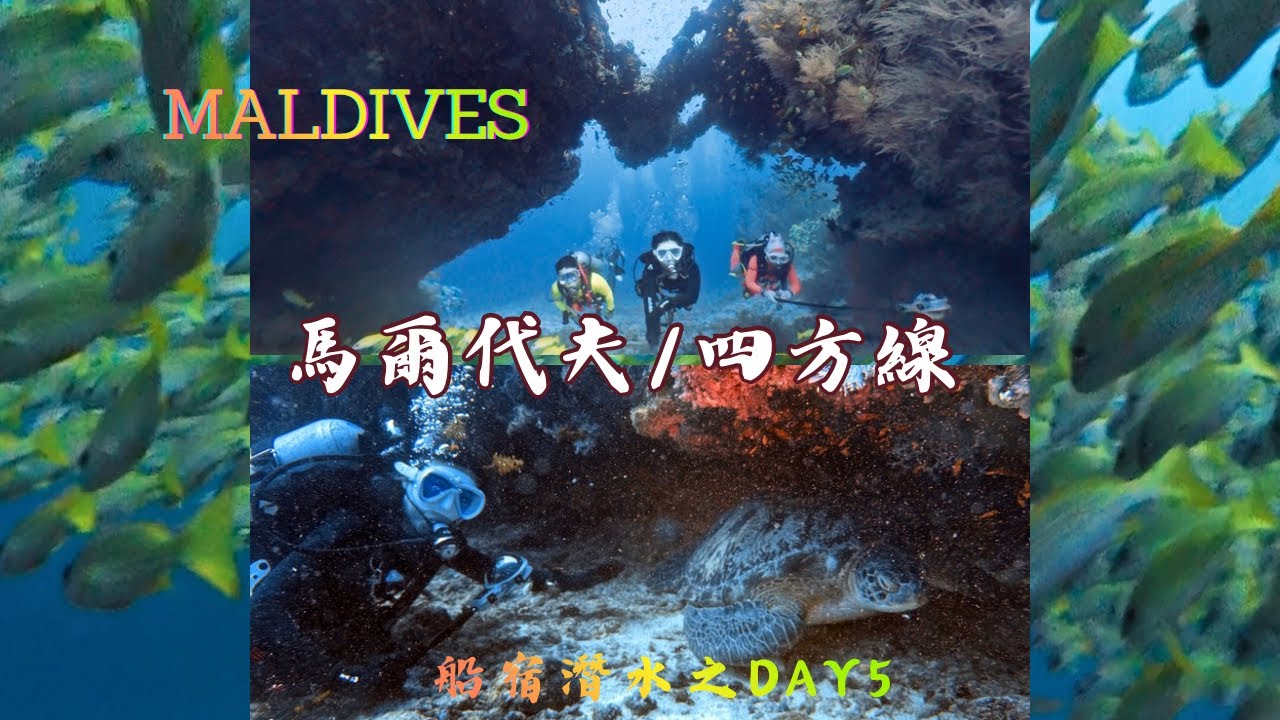 【MALDIVES】記錄聖誕外潛馬爾代夫船宿高氧潛水逆行四方線之Day5||Kudarah Thila||四線笛鯛群||拱門||鷹鰩|| 【記錄所有的紀錄】