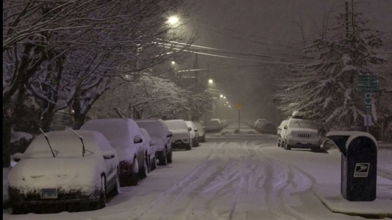 a snowy day in the snowy world