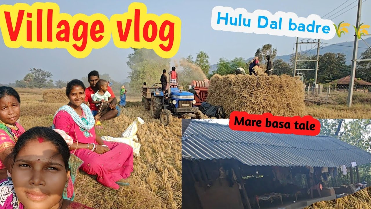 Daily life vlog||Finally  Ag parishram ro phala miliba😊||Village vlog