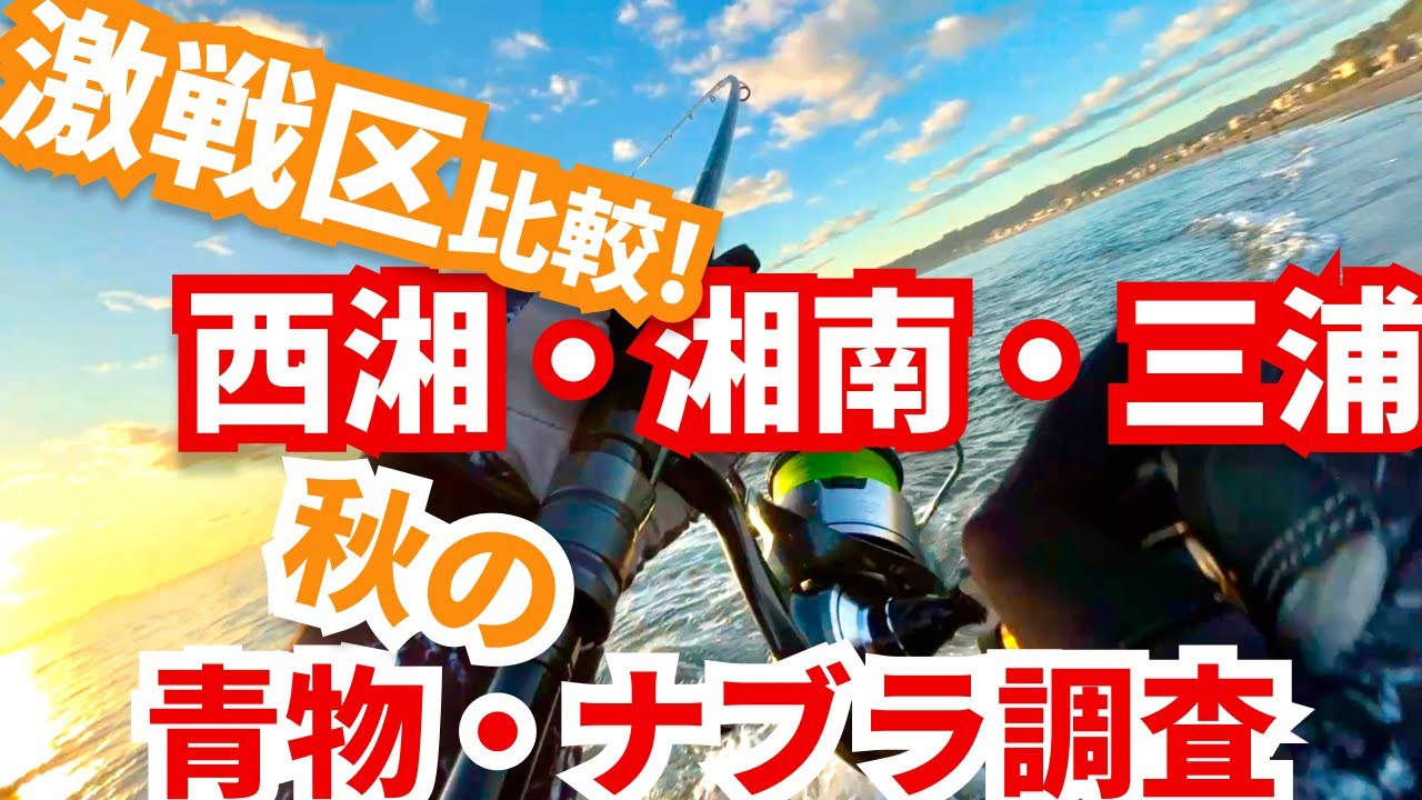 【激戦区3箇所】比較検証！西湘/湘南/三浦でのサーフショアジギングしたらまさかの魚が...!!｜国府津海岸・三浦海岸・辻堂海浜公園前｜#シイラ #ヒラメ #マゴチ #ナブラ #SLSJ #青物 #ブリ