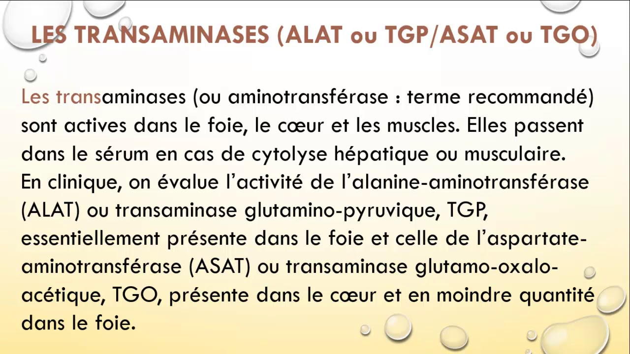 Bilan H&eacute;patique-Analyses sanguines-تحاليل الكبد