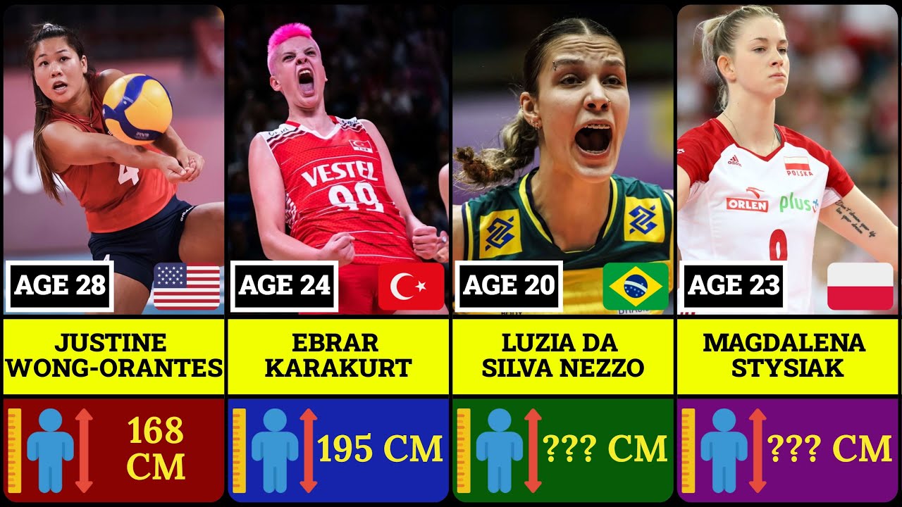 Сравнение роста волейболистов | от самого низкого до самого высокого