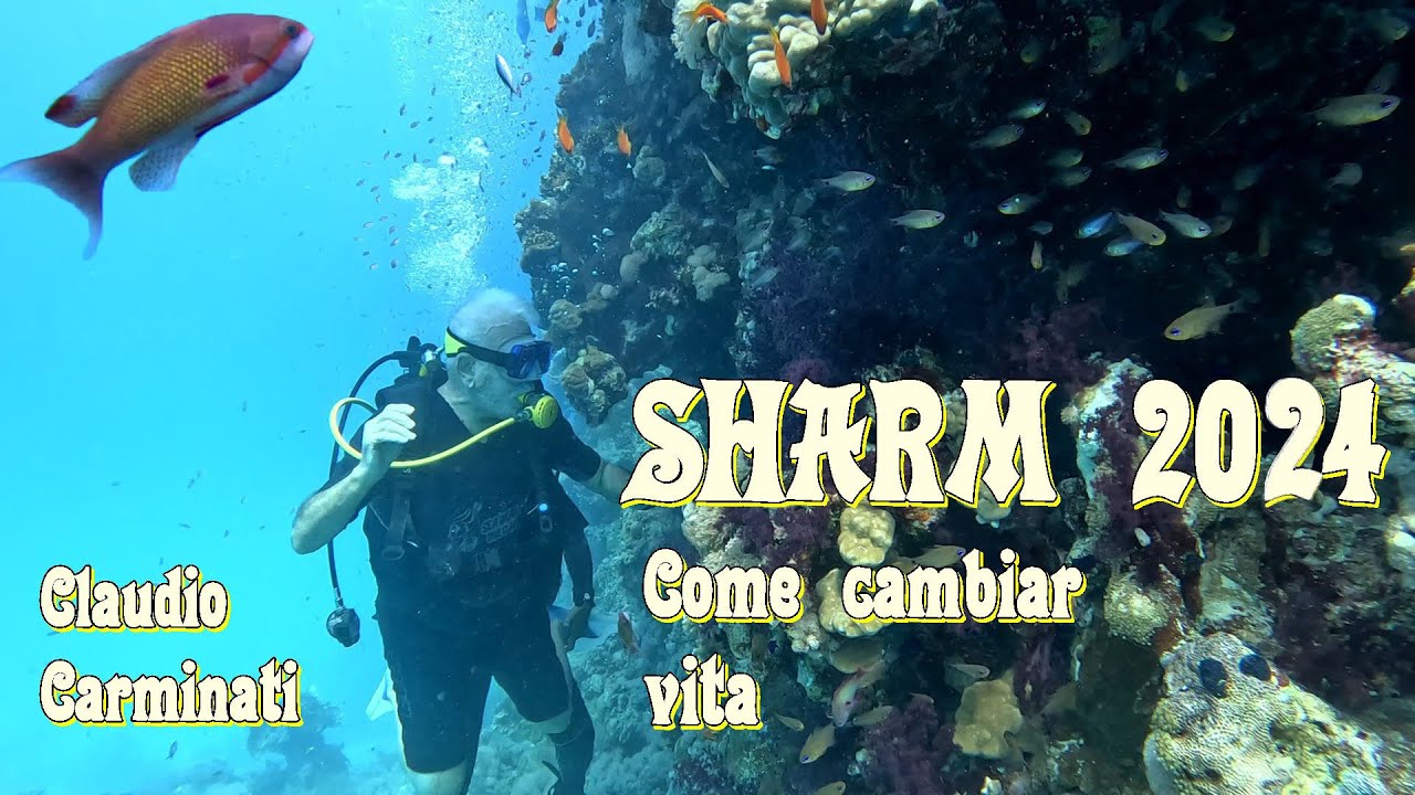 SHARM 2024 Come cambiare vita HD (English subtitles)