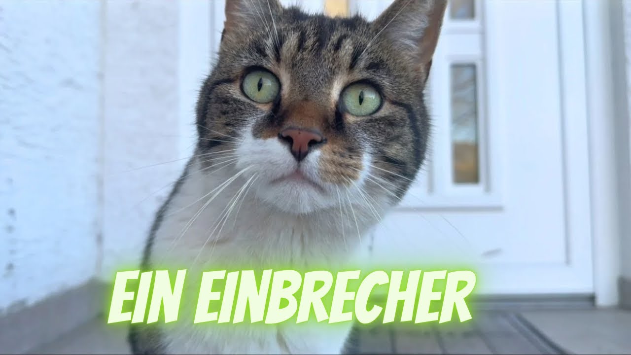 Nachts um halb 3 hab ich so ein Schock bekommen.. 