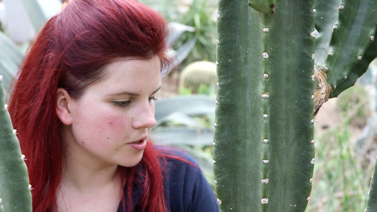 Elisa Biondi, horticulturist in Kew Gardens' Princess of Wales Conservatory, Londoner #82