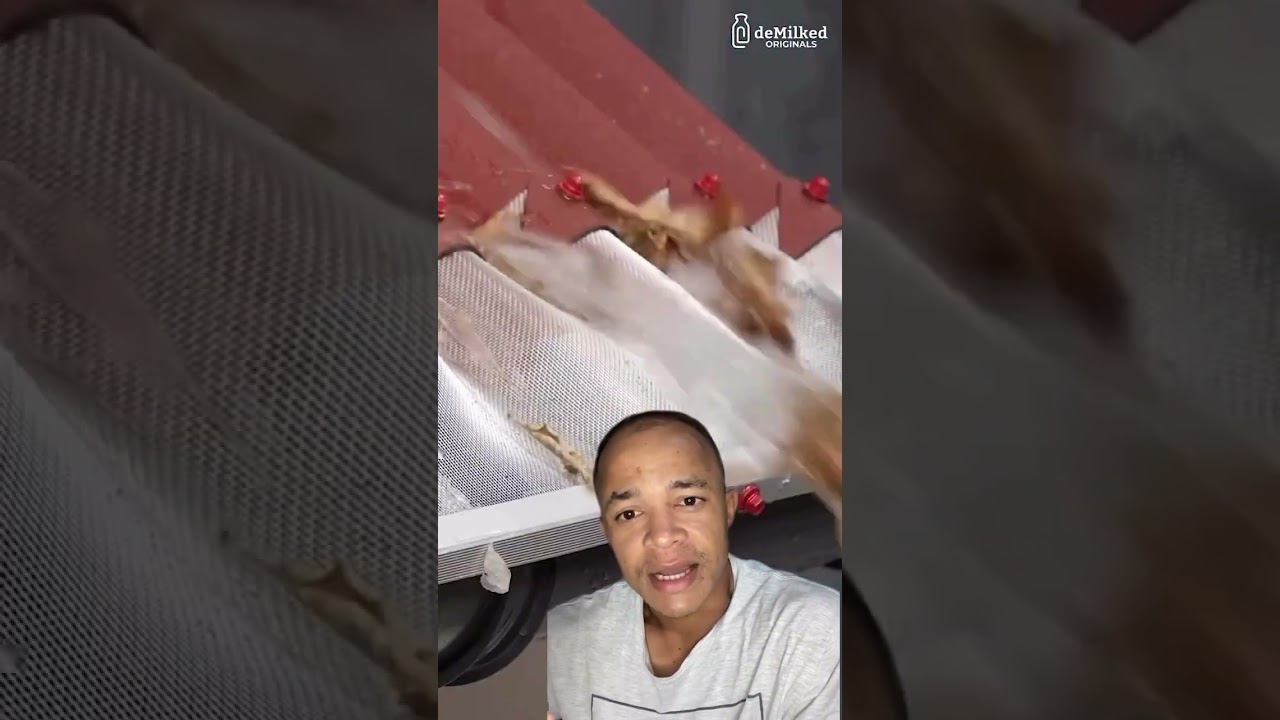 PEGA ESSA DICA PARA SUA CALHA N&Atilde;O IMTUPIR MAS #calha #calhas #dicasparainiciantes #remixes