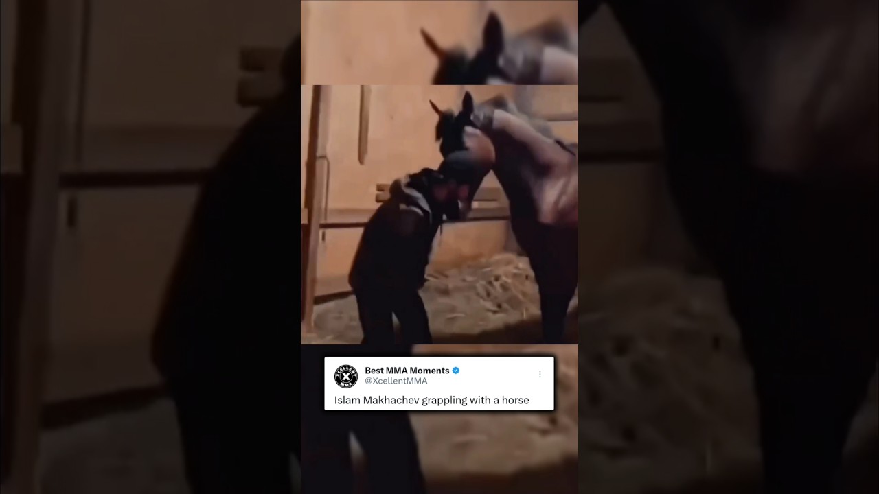 Islam Makhachev grappling with a horse