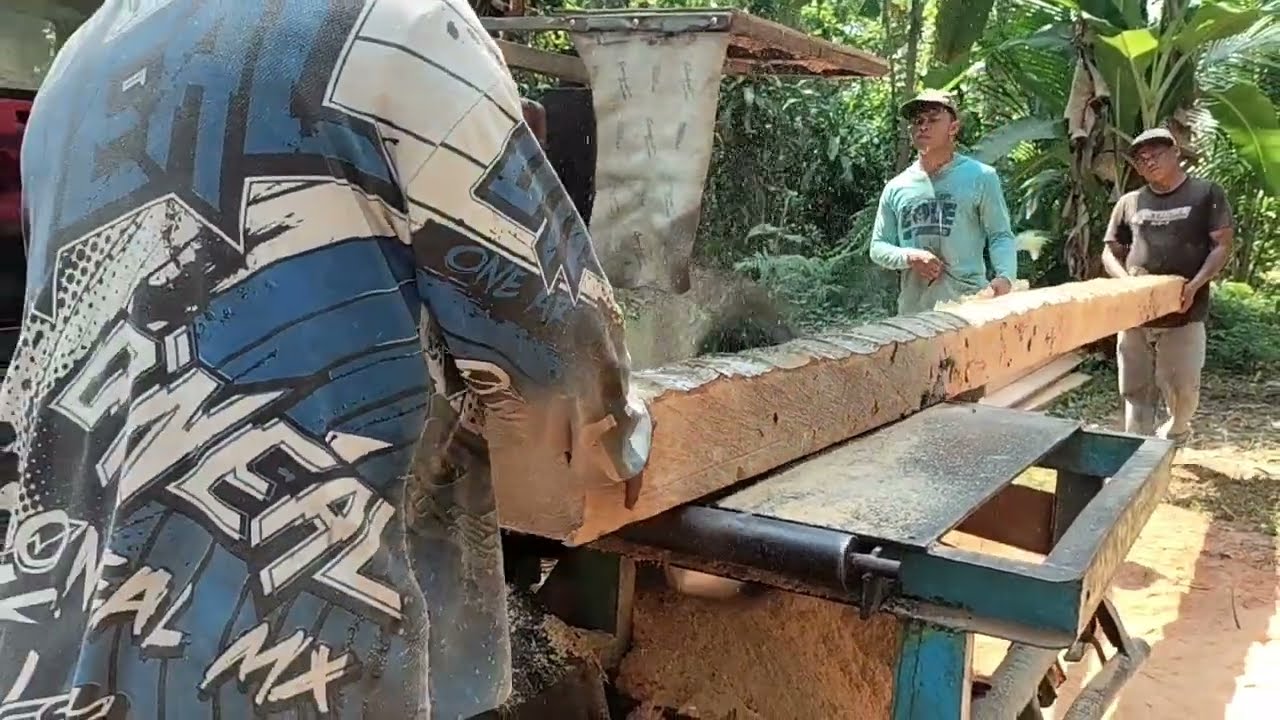 Bahan kandang dari penggergajian kayu kelapa