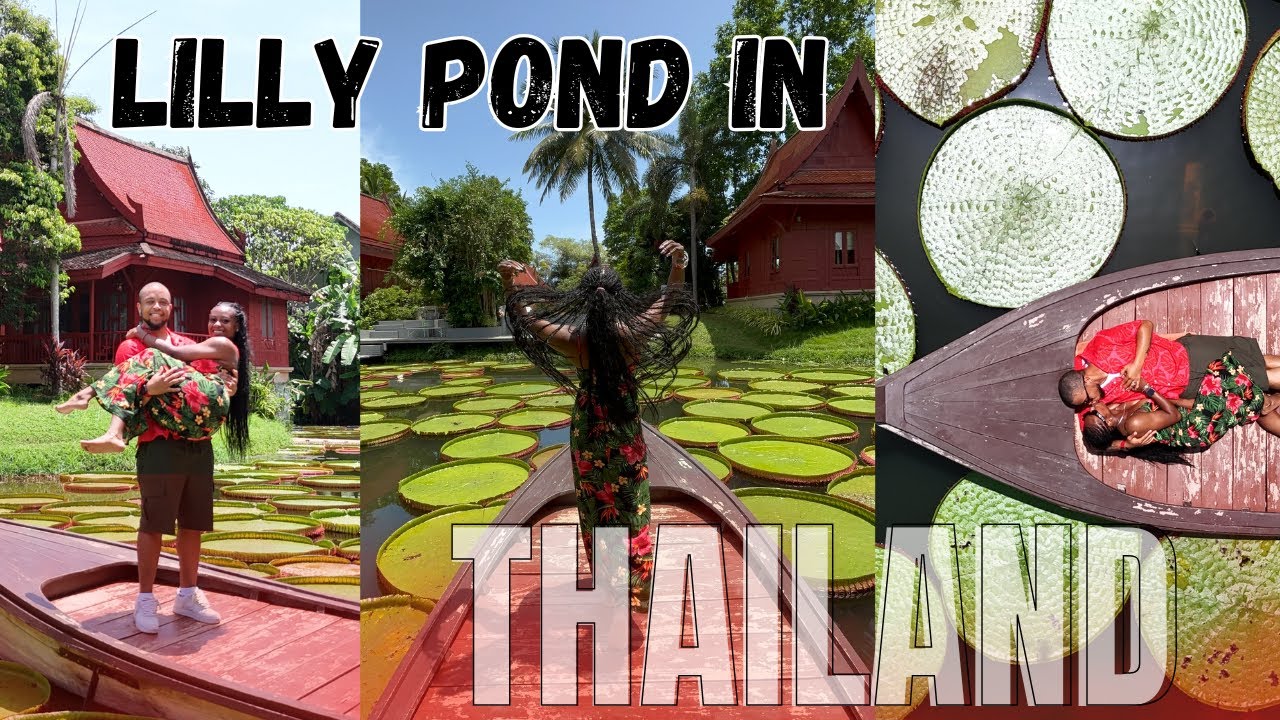 THAILAND LILY POND VIRAL PHOTOSHOOT