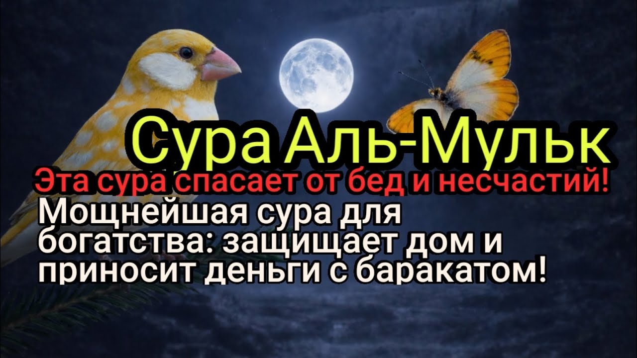 Богатство без границ: эта сура открывает двери ризка и убирает беды!