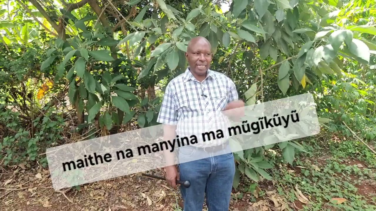 Mĩthemba ya maithe na manyina ma mũgĩkũyũ 