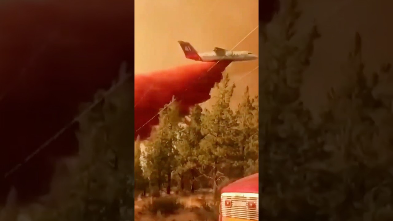 Wildfires burned 5.1 million acres nationwide in 2025