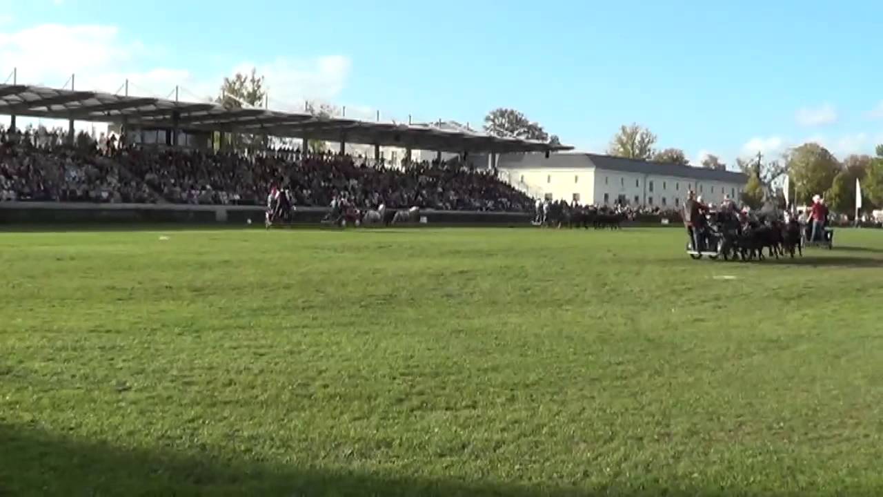 4spännerWesternquadrille