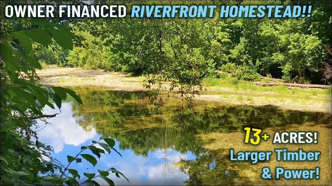 $2,500 Down - Owner Financed Riverfront Homestead! 500' frontage! 14 acres w/ BIG timber and power!