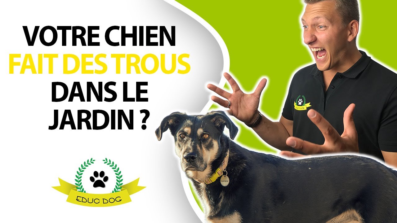 MON CHIEN CREUSE DANS LE JARDIN COMMENT FAIRE