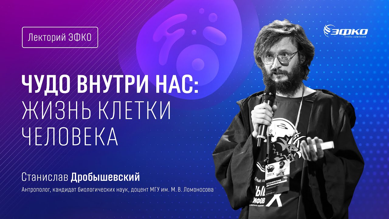 Лекторий ЭФКО. «Чудо внутри нас: жизнь клетки человека» – Станислав Дробышевский