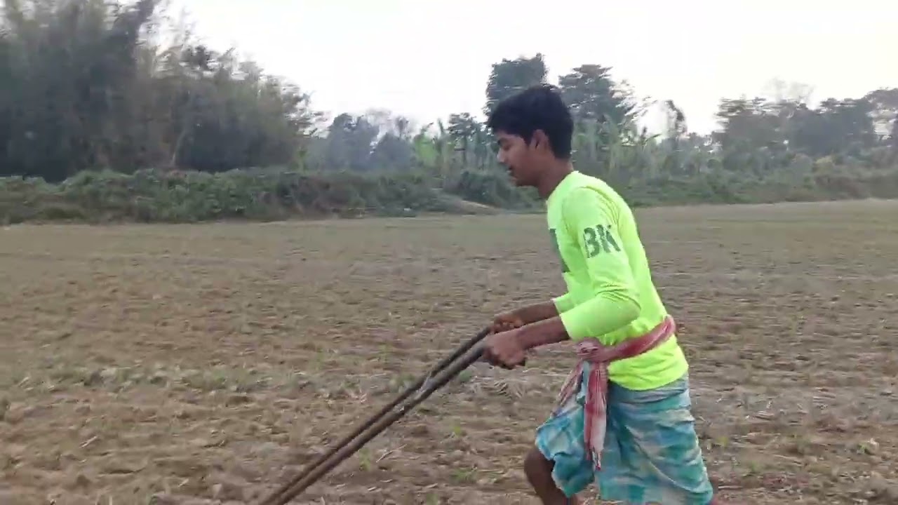 Ham log ka khet yahan behtarin Bihar mein kheti hota hai Makka ka kheti dhaan ka kheti gehun ka khet