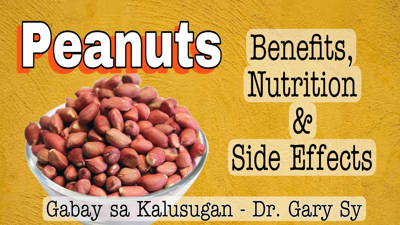 MANI (Peanuts): Health Benefits, Nutrition & Side Effects - Dr. Gary Sy