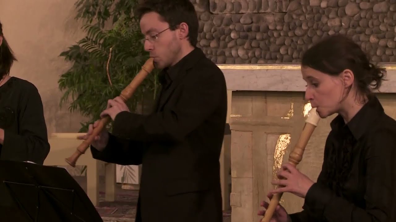 Telemann : Concerto en mi mineur