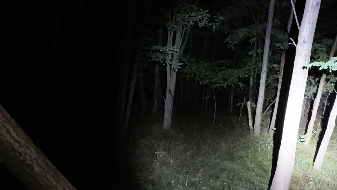 Test latarek : z Biedronki za 25 zł.   oraz Fenix TK-16 3109lm + 800lm z aledrogo za 50 zł.