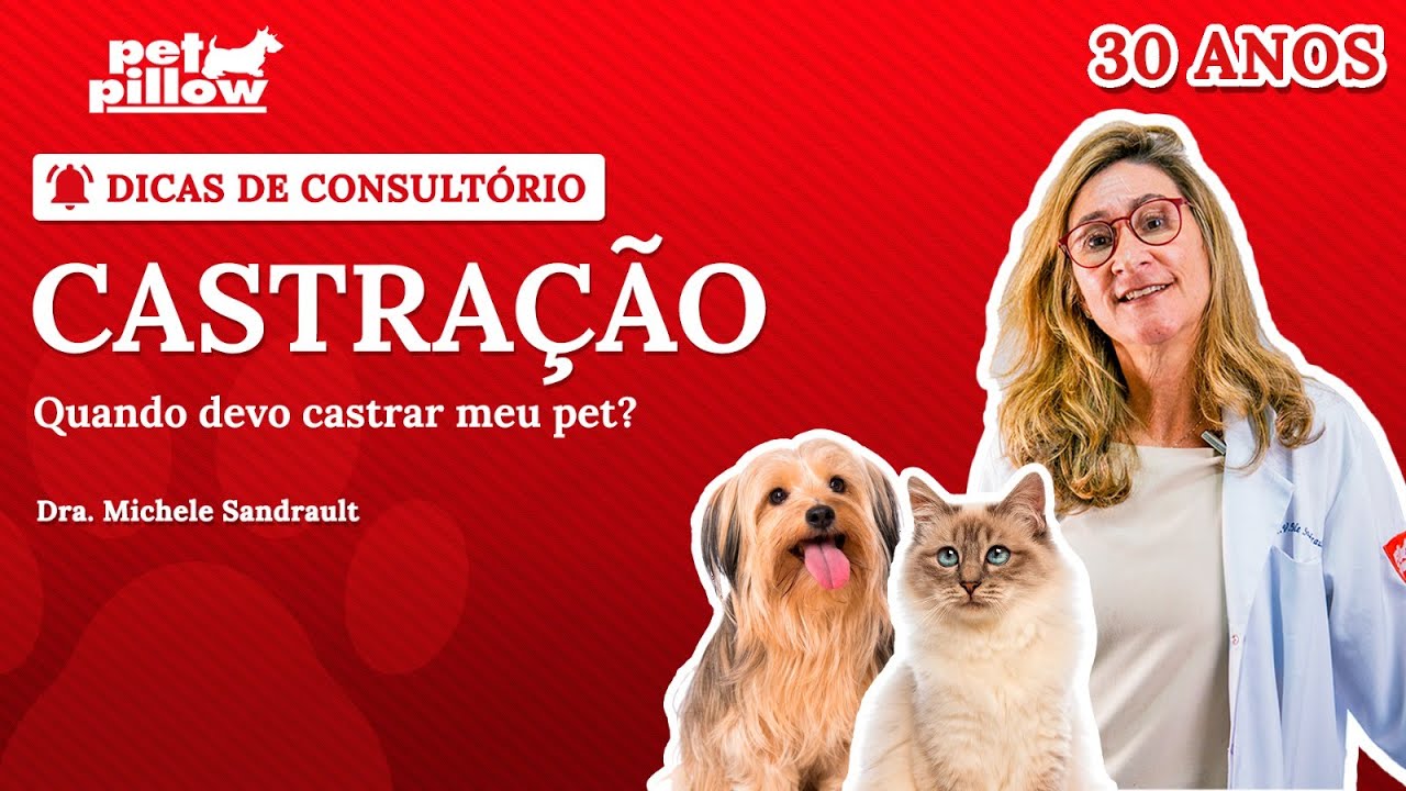 Quando CASTRAR cadelas e gatas? Há uma idade ideal? | Dra. Michele Sandrault