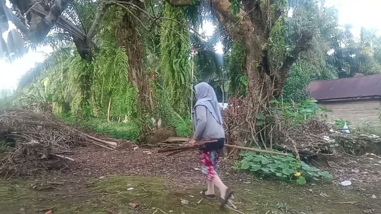 Mereka pikir iting buat rumah baru|| batunya sangat bayak